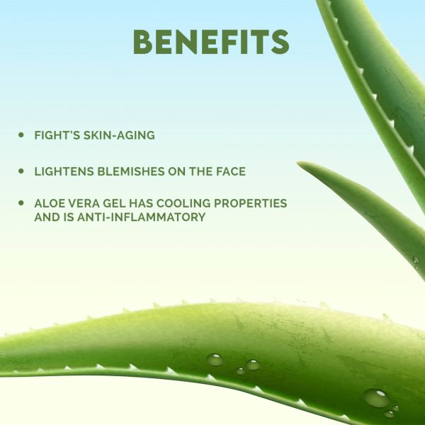 Jovees Aloe Vera Moisturizing Lotion with Sandalwood